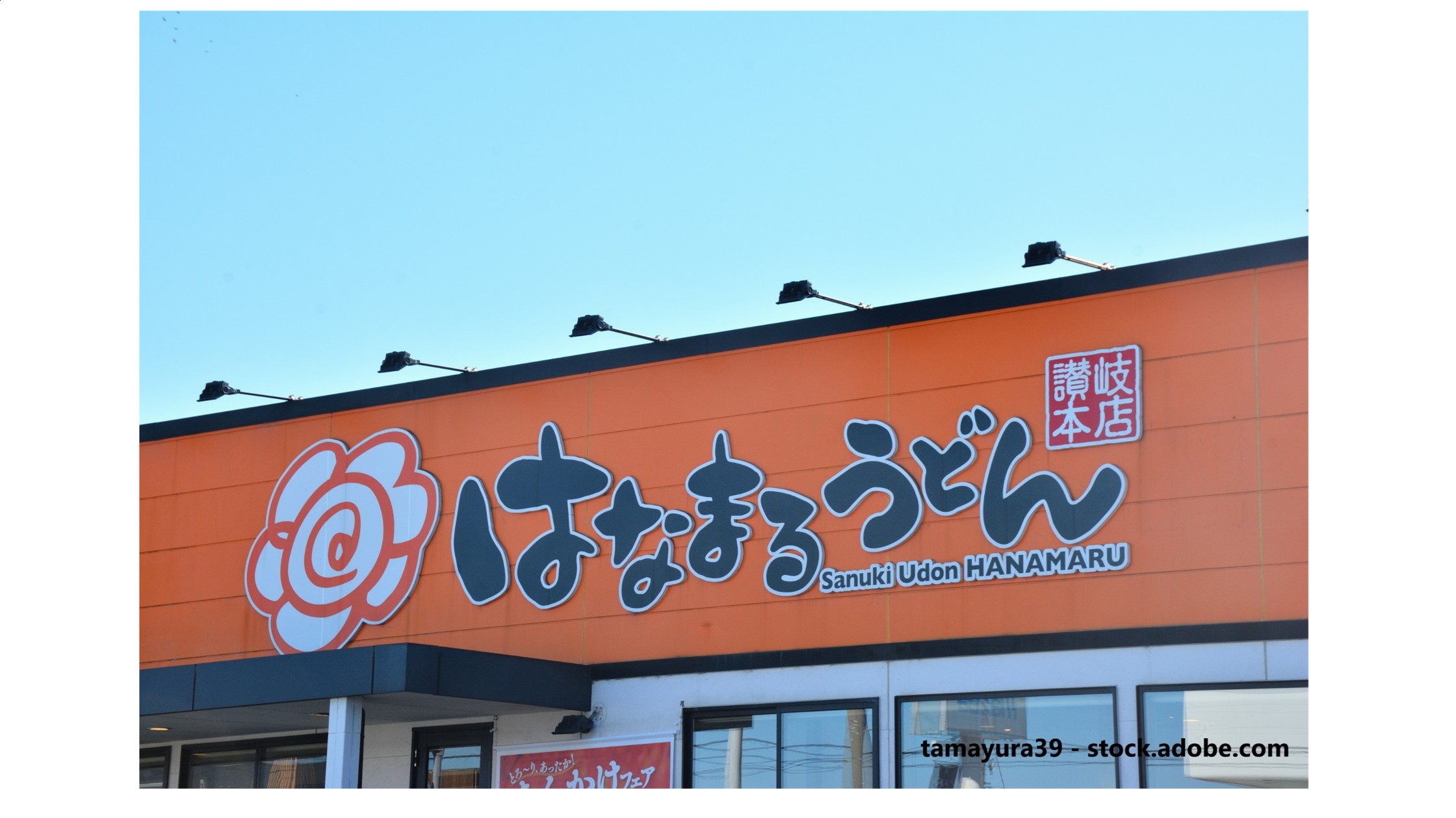 株主優待のすすめ 【株主優待】「はなまるうどん」と「丸亀製麺」は